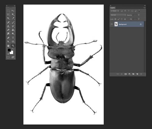 آموزش طراحی پوستر فستیوال موسیقی