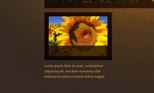 آموزش طراحی وبسایت عکاسی در فتوشاپ