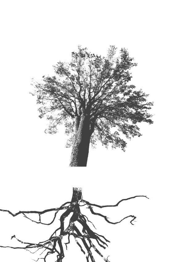 آموزش طراحی پوستر گروه راک