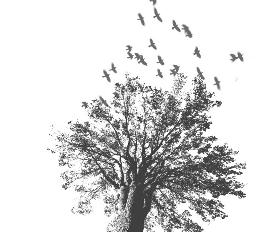 آموزش طراحی پوستر گروه راک