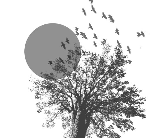 آموزش طراحی پوستر گروه راک