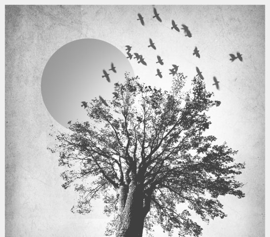 آموزش طراحی پوستر گروه راک